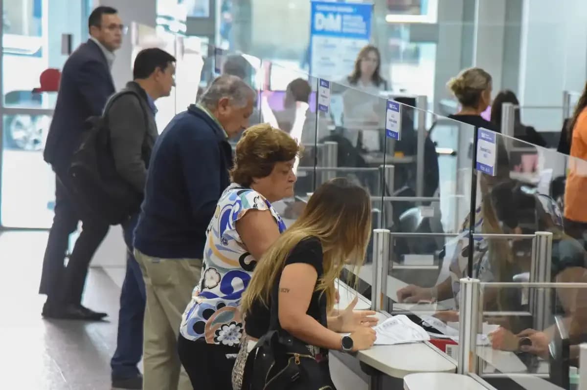 oficinas-direccion-ingresos-municipales-msmt