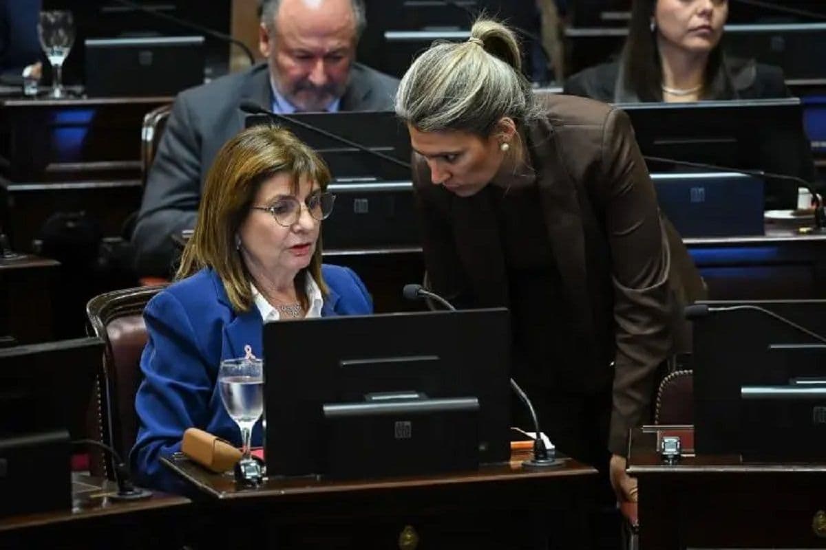 Media sanción en el Senado para la reforma de la Ley de Salud Mental: el trámite sigue en Diputados