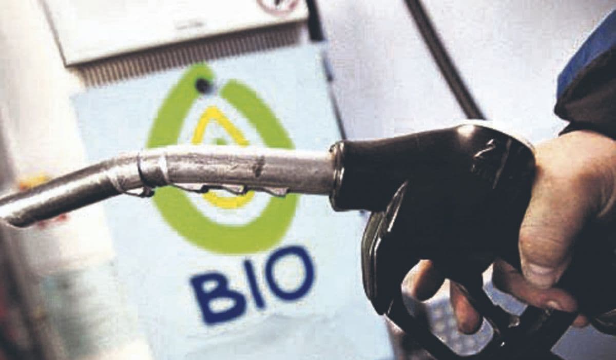 Tras el freno en el Senado, Jaldo pide paridad energética para el Norte en la ley de biocombustibles